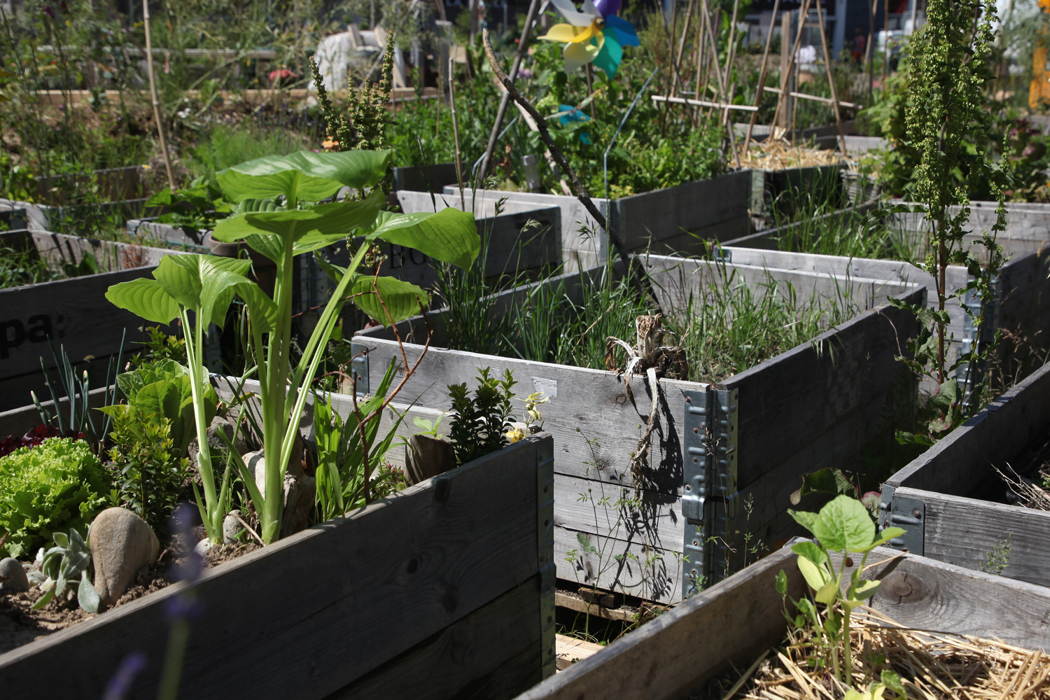 point-cardinal_bacs_juillet2020